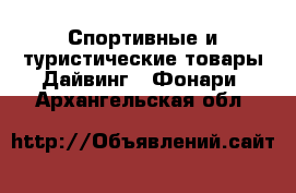 Спортивные и туристические товары Дайвинг - Фонари. Архангельская обл.